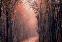 欧博体育：曼联热刺欧联报捷 直接晋级16强.