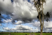 B费：葡萄牙队今天缺乏侵略性，我们能在主场扭转局势.