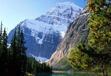 [澳网]维基奇晋级澳网女单16强.