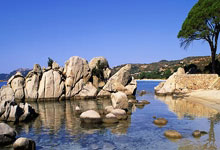 中国双人滑组合张嘉轩／黄一航获花滑世青赛第五名.